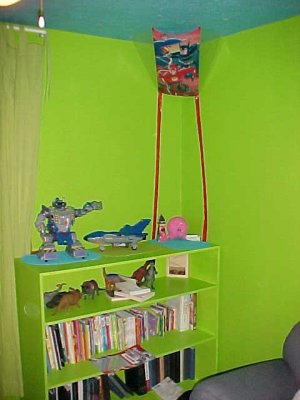 bookcase and kite.JPG