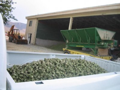 dodge - load of cubes.jpg