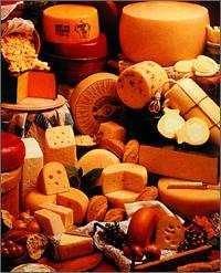 cheese.jpg