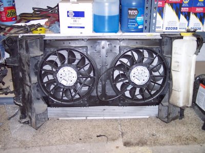 Electric fans.JPG