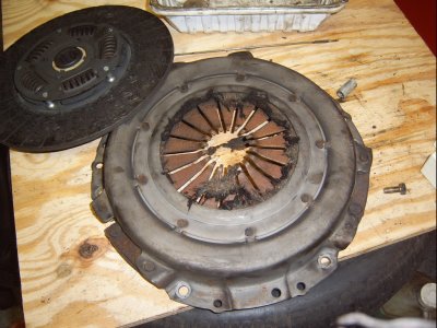 SV500001.JPG