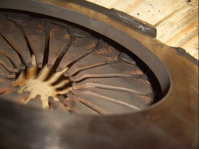 SV500002.JPG