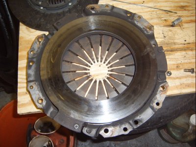 SV500004.JPG