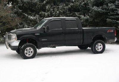 PSD in snow.jpg