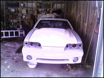 front veiw.jpg