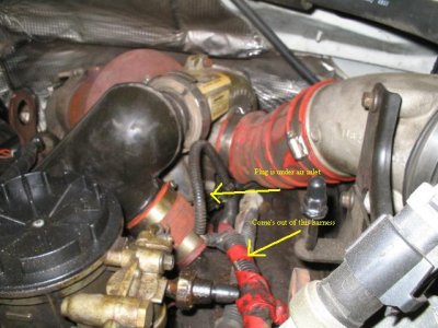 EBPV wire.JPG