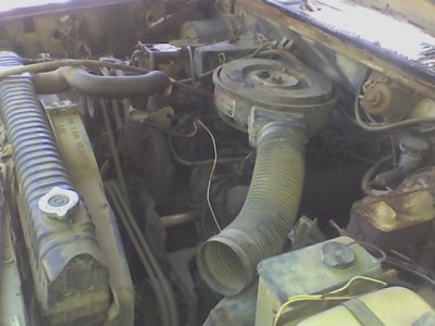 84 F-250 Engine.jpg