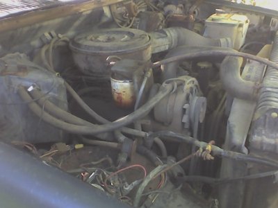 84 F-250 Engine 2.jpg