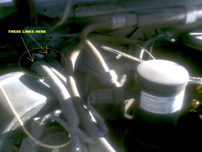 0711071859.jpg