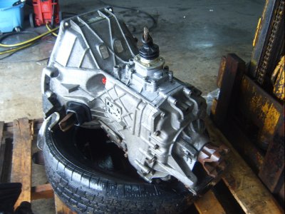 ZF5 2.JPG