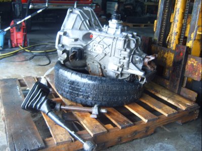 ZF5 3.JPG