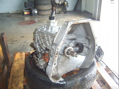 ZF5 5.JPG