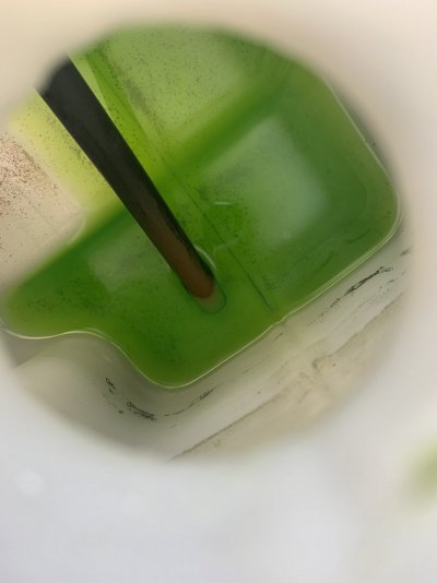 3F806171-D03E-4F43-A6B4-B593F2680E9B.jpeg