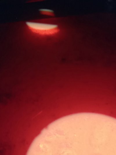 20210904_113030_HDR.jpg