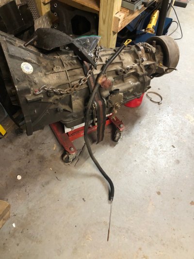 tranny-dipstick.jpg