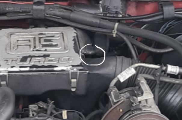 19D046E8-0730-4119-9F3B-E48FF432D443.jpeg