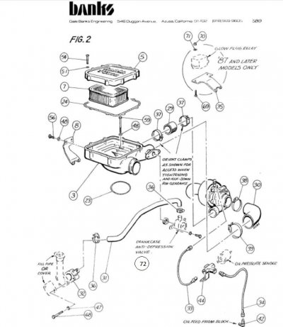 Banks illustration.jpg