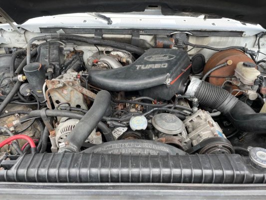 1994 Ford F-250 7.3L IDI for Parts 179K   700   244436935_1178384949331989_8952790431191499663_n.jpg