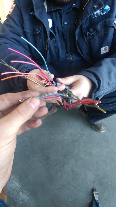 wiring harness,.jpg