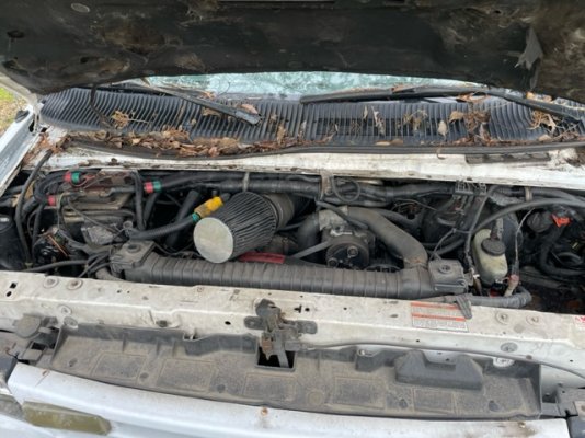 image5.jpeg