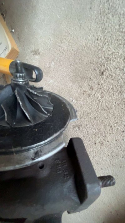 084D01F0-9677-4774-AC63-349EEFB04E67.jpeg