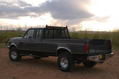 Black Beauty 3.JPG
