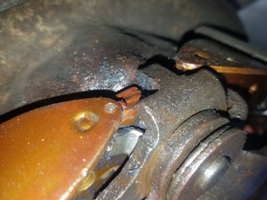 20201018_120312.jpg