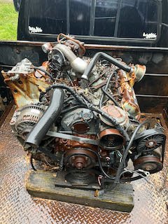 IMG_2838.jpeg