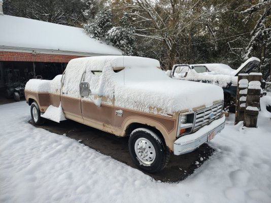 IMG_20250122_065326846_HDR.jpg