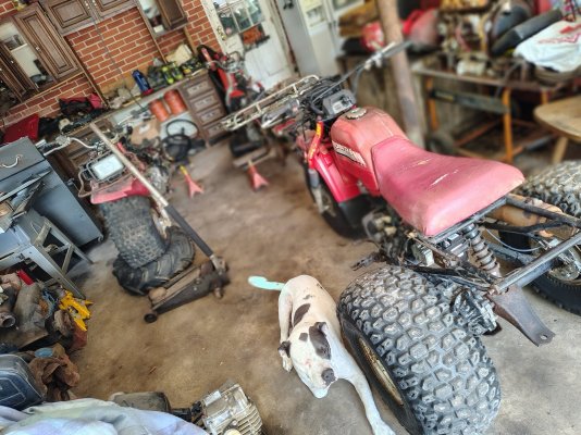 IMG_20250624_141605621_HDR_PORTRAIT.jpg