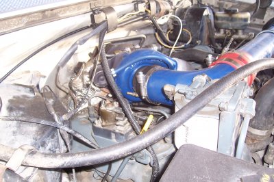 100_6336.JPG