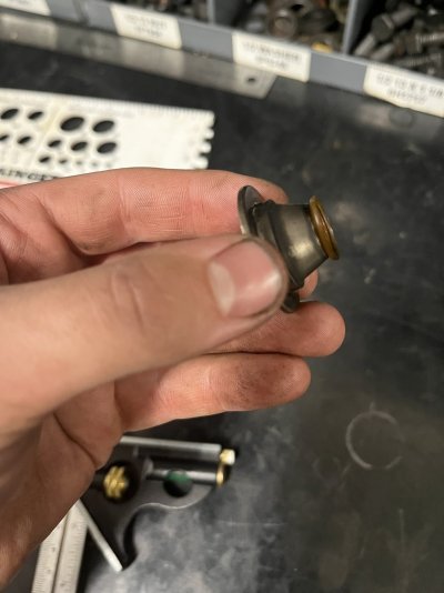spirng cap with 6517.jpg