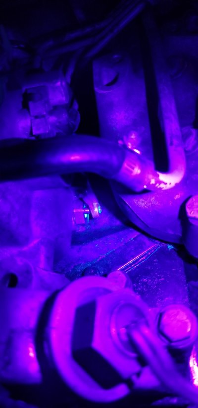 20260703_213648.jpg