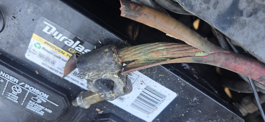 20260714_155556.jpg