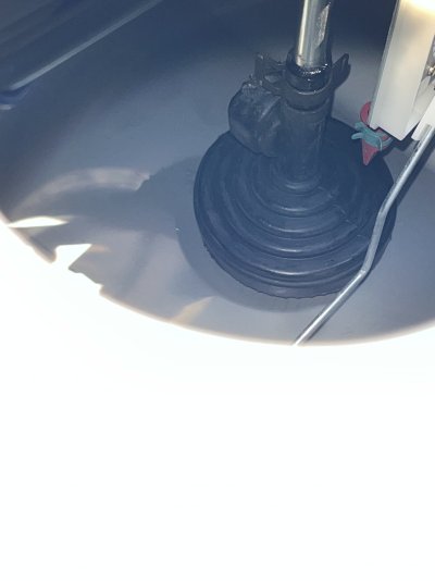 IMG_9502.jpeg