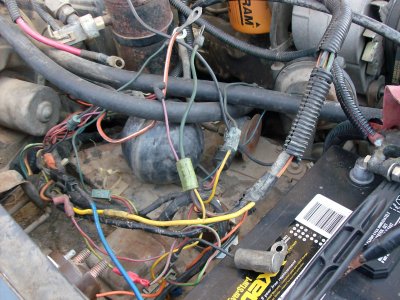 HPIM0419.jpg