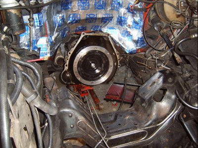 SV500008.JPG