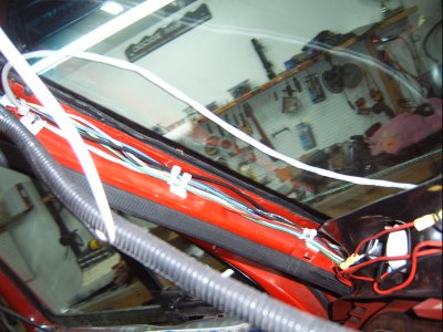 SV500003.JPG