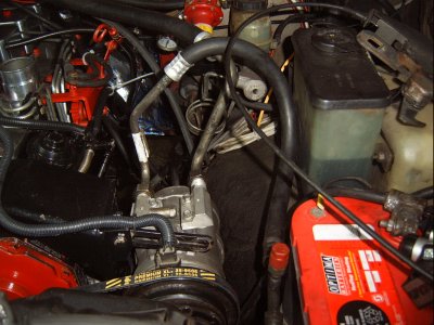 SV500003.JPG