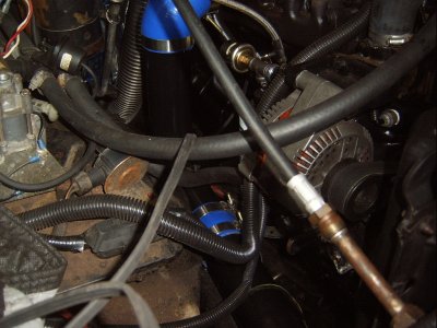 SV500002.JPG