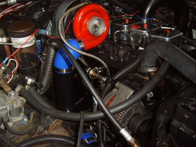 SV500003.JPG
