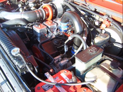 SV500027.JPG