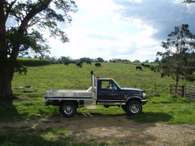 Copy of truck1.JPG