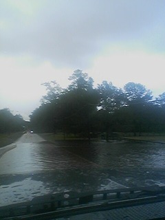 Rain 1.jpg