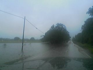 Rain 2.jpg