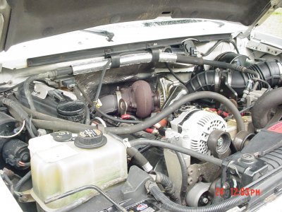 Picture 008.jpg
