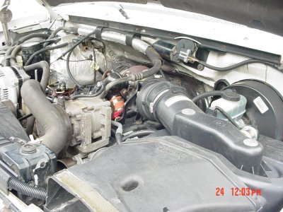 Picture 009.jpg