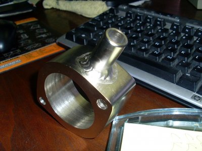 SL371463.JPG