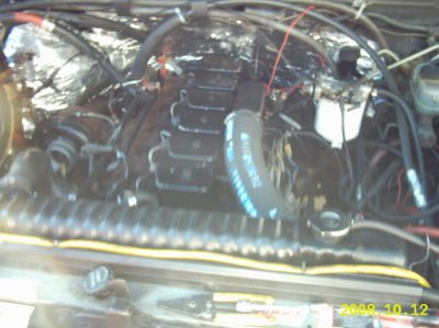 IMG_0008~1.JPG