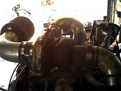 IMG0176.JPG